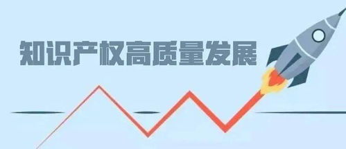 交出知識產權高質量發展湖南答卷 打造創新高地，賦能產業未來